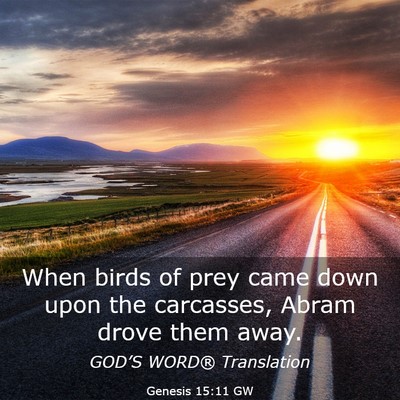 Picture 03 - Genesis 15:11 GW - When birds of prey came down upon the carcasses, - Bible Verse Picture