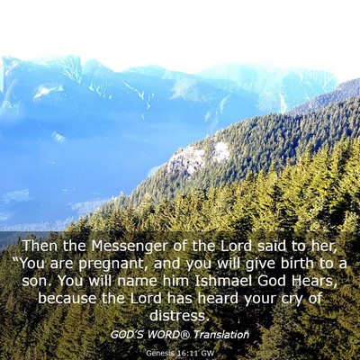 Picture 03 - Genesis 16:11 GW - Then the Messenger of the Lord said to her, - Bible Verse Picture