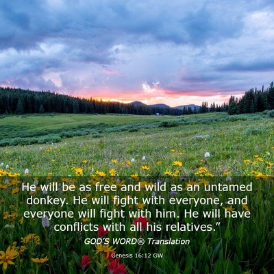 Picture 03 - Genesis 16:12 GW - He will be as free and wild as an untamed donkey. - Bible Verse Picture