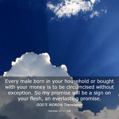 Picture 03 - Genesis 17:13 GW - Every male born in your household or bought with - Bible Verse Picture