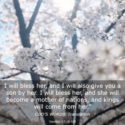 Picture 03 - Genesis 17:16 GW - I will bless her, and I will also give you a son - Bible Verse Picture