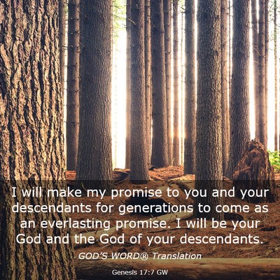 Picture 03 - Genesis 17:7 GW - I will make my promise to you and your - Bible Verse Picture