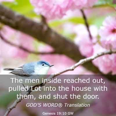 Picture 03 - Genesis 19:10 GW - The men inside reached out, pulled Lot into the - Bible Verse Picture