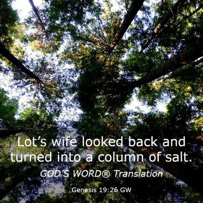 Picture 03 - Genesis 19:26 GW - Lot’s wife looked back and turned into a column - Bible Verse Picture