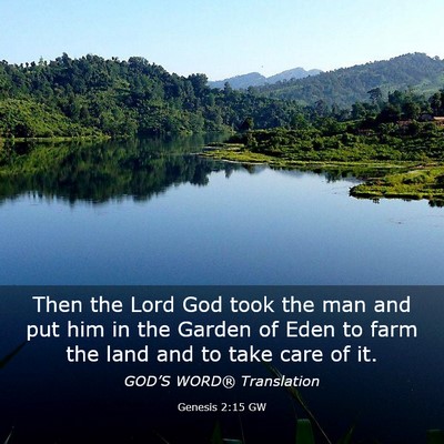 Picture 03 - Genesis 2:15 GW - Then the Lord God took the man and put him in the - Bible Verse Picture