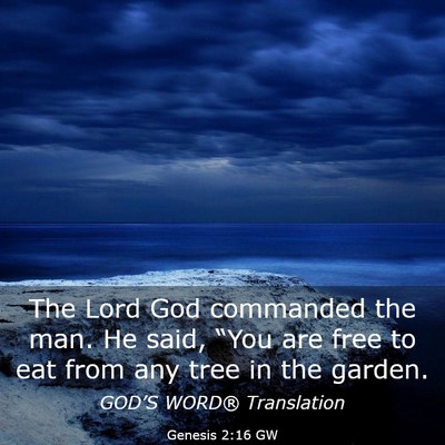 Picture 03 - Genesis 2:16 GW - The Lord God commanded the man. He said, “You - Bible Verse Picture
