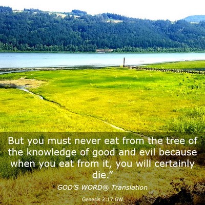 Picture 03 - Genesis 2:17 GW - But you must never eat from the tree of the - Bible Verse Picture