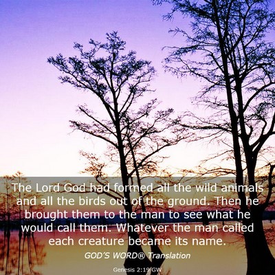 Picture 03 - Genesis 2:19 GW - The Lord God had formed all the wild animals and - Bible Verse Picture