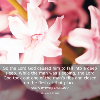 Picture 03 - Genesis 2:21 GW - So the Lord God caused him to fall into a deep - Bible Verse Picture