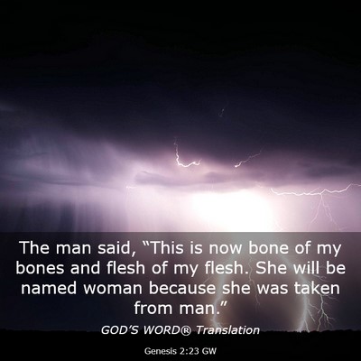 Picture 03 - Genesis 2:23 GW - The man said, “This is now bone of my bones and - Bible Verse Picture