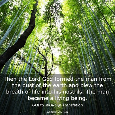 Picture 03 - Genesis 2:7 GW - Then the Lord God formed the man from the dust of - Bible Verse Picture