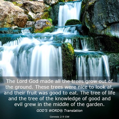 Picture 03 - Genesis 2:9 GW - The Lord God made all the trees grow out of the - Bible Verse Picture