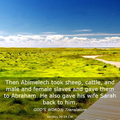 Picture 03 - Genesis 20:14 GW - Then Abimelech took sheep, cattle, and male and - Bible Verse Picture