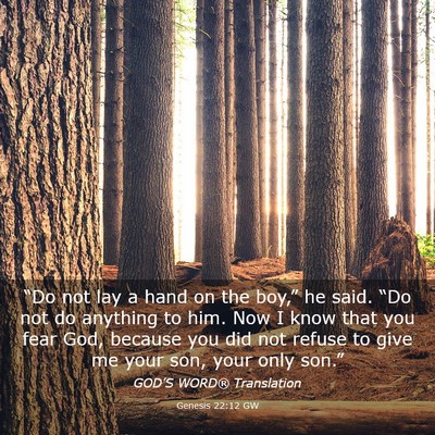 Picture 03 - Genesis 22:12 GW - “Do not lay a hand on the boy,” he said. - Bible Verse Picture