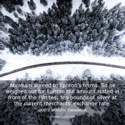 Picture 03 - Genesis 23:16 GW - Abraham agreed to Ephron’s terms. So he weighed - Bible Verse Picture