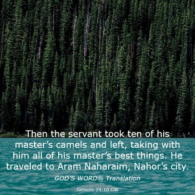 Picture 03 - Genesis 24:10 GW - Then the servant took ten of his master’s - Bible Verse Picture