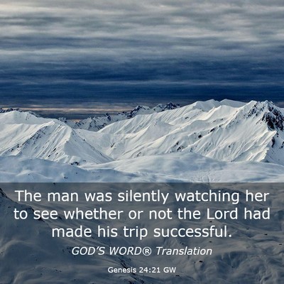 Picture 03 - Genesis 24:21 GW - The man was silently watching her to see whether - Bible Verse Picture