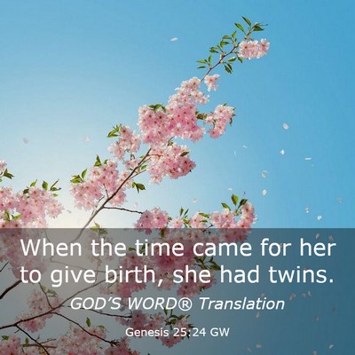 Picture 03 - Genesis 25:24 GW - When the time came for her to give birth, she had - Bible Verse Picture