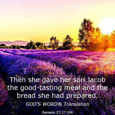 Picture 03 - Genesis 27:17 GW - Then she gave her son Jacob the good-tasting meal - Bible Verse Picture