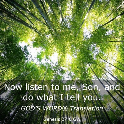 Picture 03 - Genesis 27:8 GW - Now listen to me, Son, and do what I tell - Bible Verse Picture