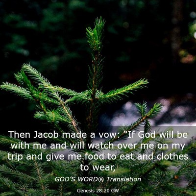Picture 03 - Genesis 28:20 GW - Then Jacob made a vow: “If God will be with me - Bible Verse Picture