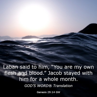 Picture 03 - Genesis 29:14 GW - Laban said to him, “You are my own flesh and - Bible Verse Picture