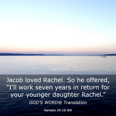 Picture 03 - Genesis 29:18 GW - Jacob loved Rachel. So he offered, “I’ll work - Bible Verse Picture