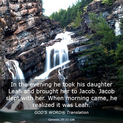 Picture 03 - Genesis 29:23 GW - In the evening he took his daughter Leah and - Bible Verse Picture