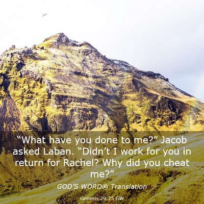 Picture 03 - Genesis 29:25 GW - “What have you done to me?” Jacob asked - Bible Verse Picture