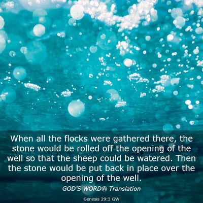 Picture 03 - Genesis 29:3 GW - When all the flocks were gathered there, the - Bible Verse Picture