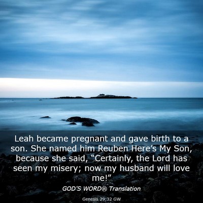 Picture 03 - Genesis 29:32 GW - Leah became pregnant and gave birth to a son. She - Bible Verse Picture