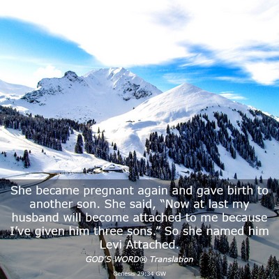 Picture 03 - Genesis 29:34 GW - She became pregnant again and gave birth to - Bible Verse Picture