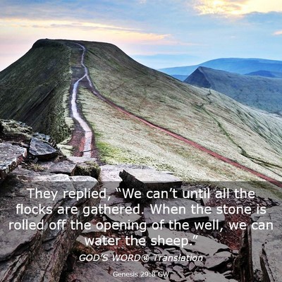 Picture 03 - Genesis 29:8 GW - They replied, “We can’t until all the flocks - Bible Verse Picture