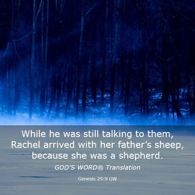 Picture 03 - Genesis 29:9 GW - While he was still talking to them, Rachel - Bible Verse Picture