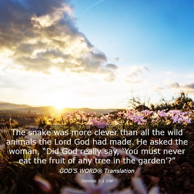 Picture 03 - Genesis 3:1 GW - The snake was more clever than all the wild - Bible Verse Picture