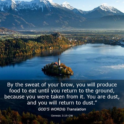 Picture 03 - Genesis 3:19 GW - By the sweat of your brow, you will produce food - Bible Verse Picture