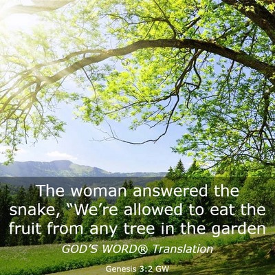 Picture 03 - Genesis 3:2 GW - The woman answered the snake, “We’re allowed - Bible Verse Picture