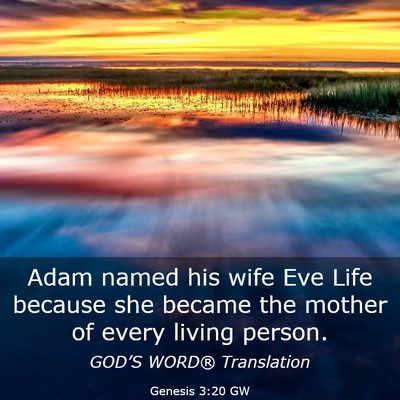 Picture 03 - Genesis 3:20 GW - Adam named his wife Eve Life because she became - Bible Verse Picture