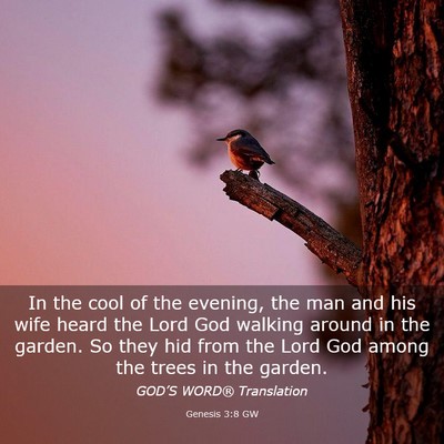 Picture 03 - Genesis 3:8 GW - In the cool of the evening, the man and his wife - Bible Verse Picture