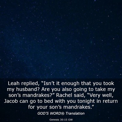 Picture 03 - Genesis 30:15 GW - Leah replied, “Isn’t it enough that you took - Bible Verse Picture