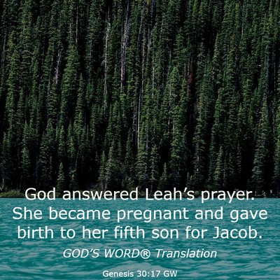 Picture 03 - Genesis 30:17 GW - God answered Leah’s prayer. She became pregnant - Bible Verse Picture