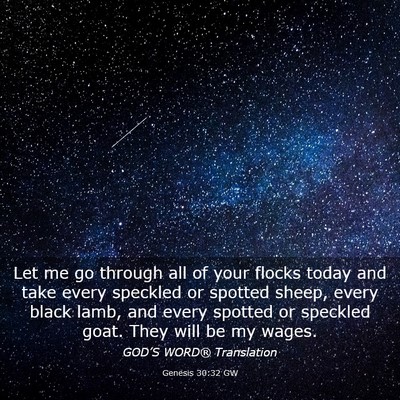 Picture 03 - Genesis 30:32 GW - Let me go through all of your flocks today and - Bible Verse Picture