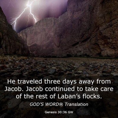 Picture 03 - Genesis 30:36 GW - He traveled three days away from Jacob. Jacob - Bible Verse Picture