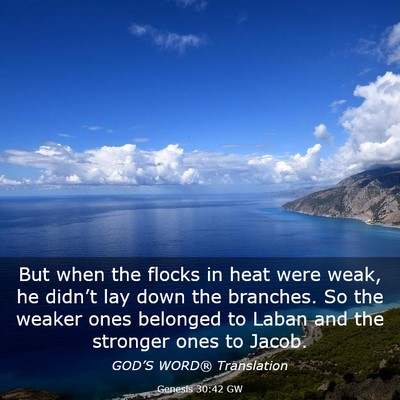 Picture 03 - Genesis 30:42 GW - But when the flocks in heat were weak, he - Bible Verse Picture