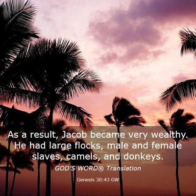 Picture 03 - Genesis 30:43 GW - As a result, Jacob became very wealthy. He had - Bible Verse Picture