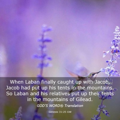 Picture 03 - Genesis 31:25 GW - When Laban finally caught up with Jacob, Jacob - Bible Verse Picture