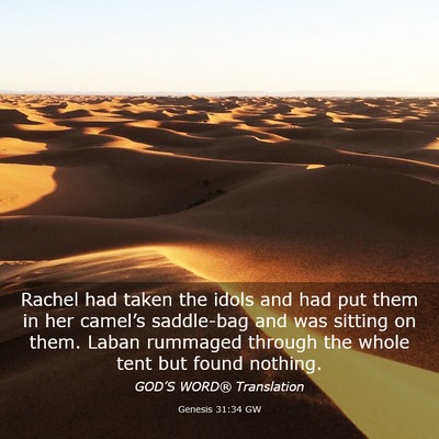 Picture 03 - Genesis 31:34 GW - Rachel had taken the idols and had put them in - Bible Verse Picture