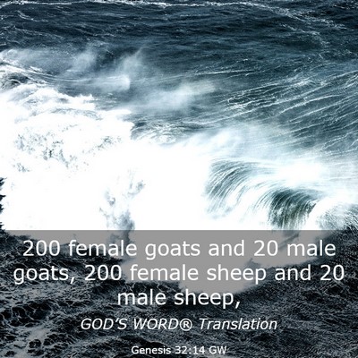Picture 03 - Genesis 32:14 GW - 200 female goats and 20 male goats, 200 female - Bible Verse Picture