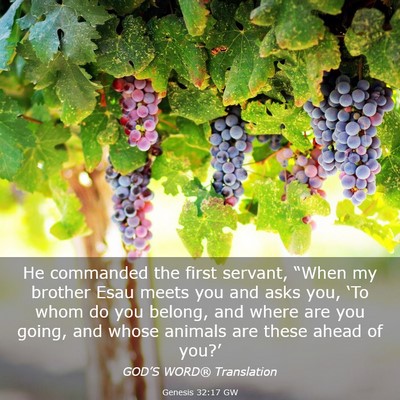 Picture 03 - Genesis 32:17 GW - He commanded the first servant, “When my - Bible Verse Picture
