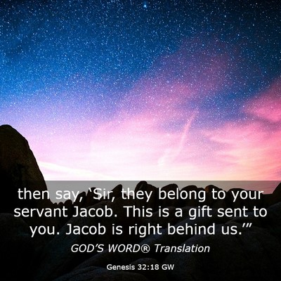 Picture 03 - Genesis 32:18 GW - then say, ‘Sir, they belong to your servant - Bible Verse Picture